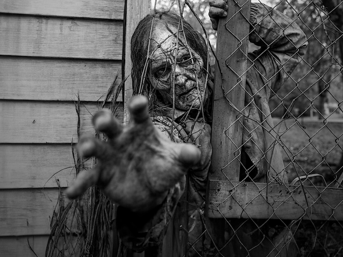 Zombies por categoría